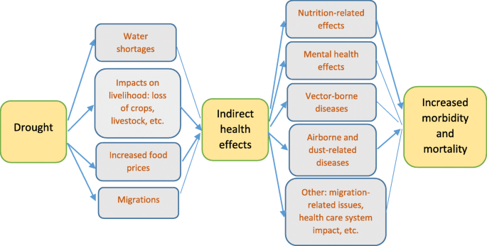 What are the health consequences of drought? WE EXPLAIN