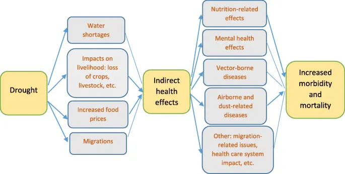 What are the health consequences of drought? WE EXPLAIN