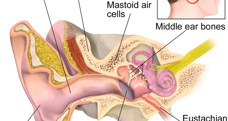 What are the symptoms of mastoiditis?