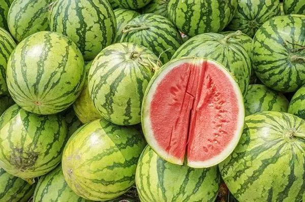 What are watermelons &#8211; berries, fruits or vegetables: definitions of terminology and theory + homeland and area of ​​​​distribution of culture