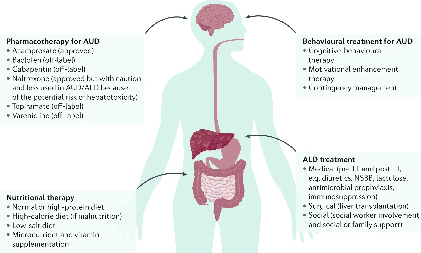 What awaits us if we drink alcohol every day for a month? Four main symptoms have been described