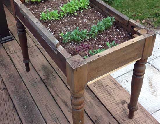 What can be planted with what in the beds: table 