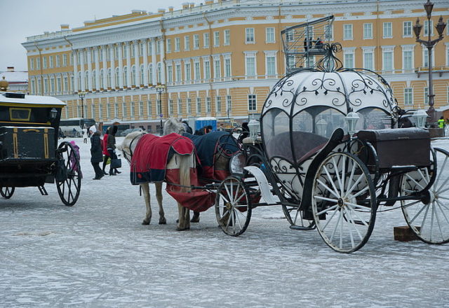 What can be presented for the New Year to a woman: beloved, elderly, adult, young