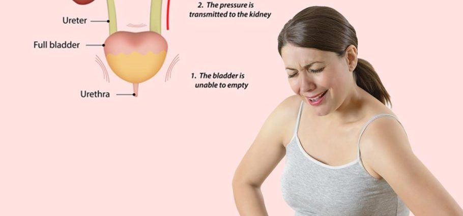 What Causes Kidney Pain In Pregnancy?