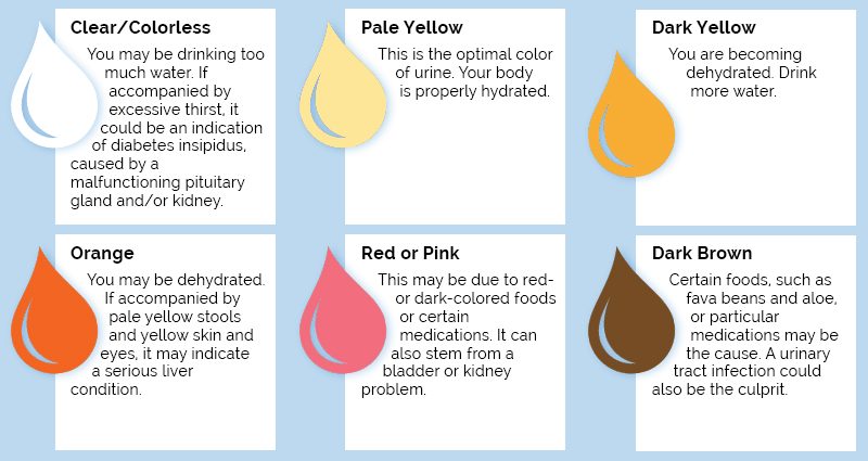 What changes in the body does the color of urine signal?