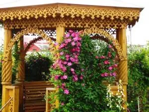 What climbing plants to plant near the gazebo