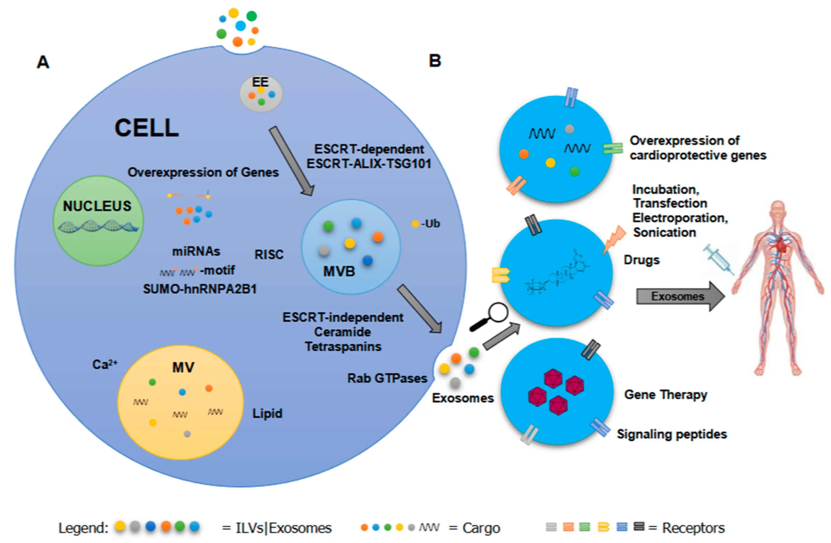 What could signal a developing disease?