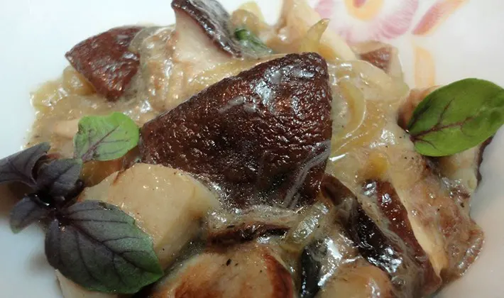 What delicious preparations of porcini mushrooms can be made