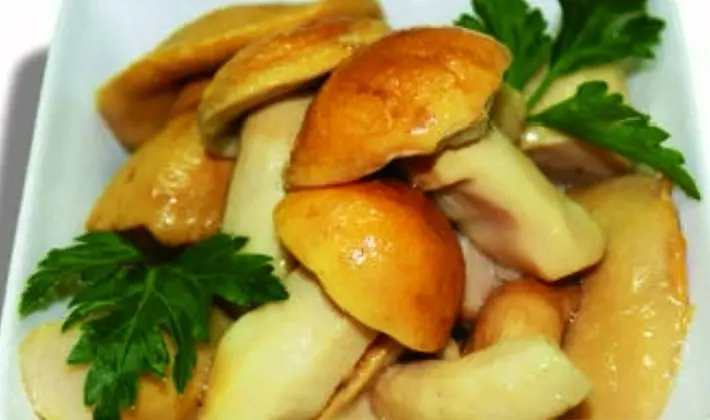 What delicious preparations of porcini mushrooms can be made