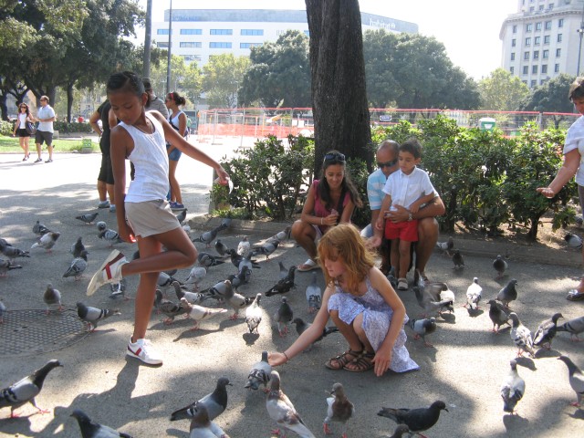 What diseases do pigeons carry?