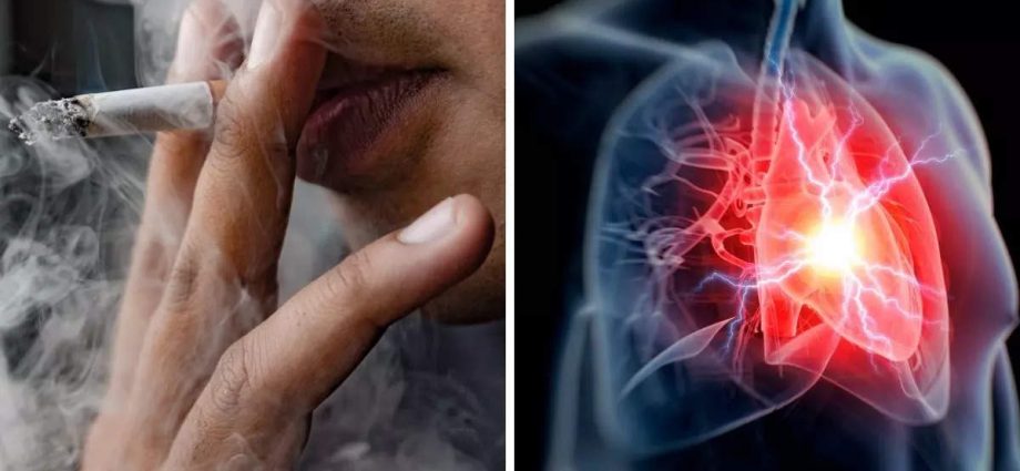 What do cigarettes do to our heart? Scientists looked inside it