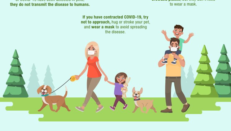 What do dog and cat owners need to remember in the era of coronavirus?