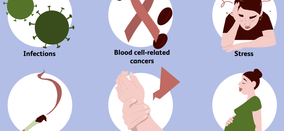 What do elevated neutrocytes mean?