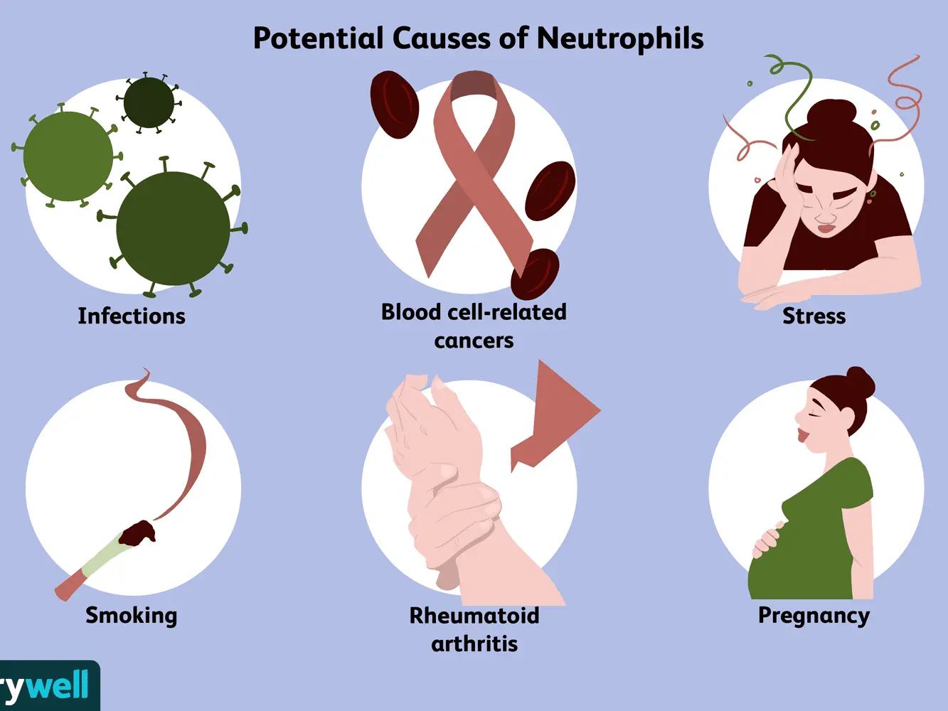 What do elevated neutrocytes mean?