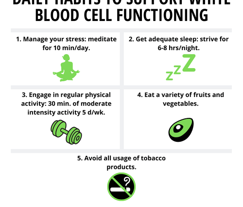 What do high leukocytes testify to?