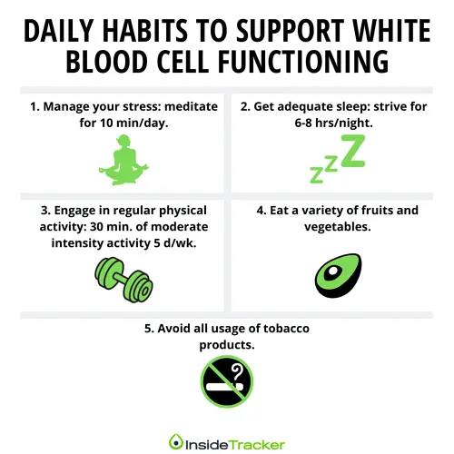 What do high leukocytes testify to?