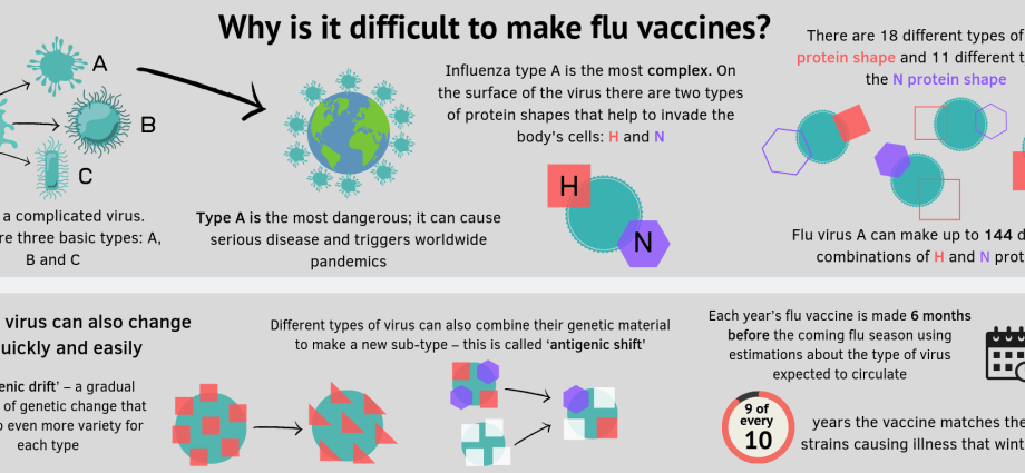 What do I need to know before going to Germany to get the flu vaccine? [WE EXPLAIN]