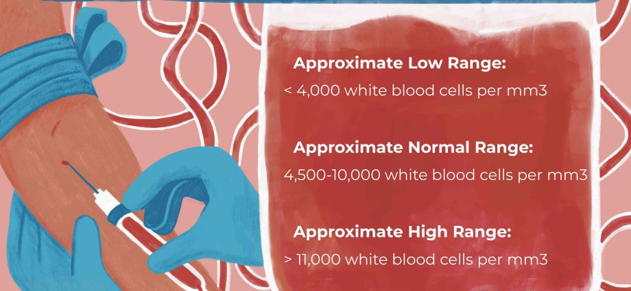 What do leukocytes below normal testify to?