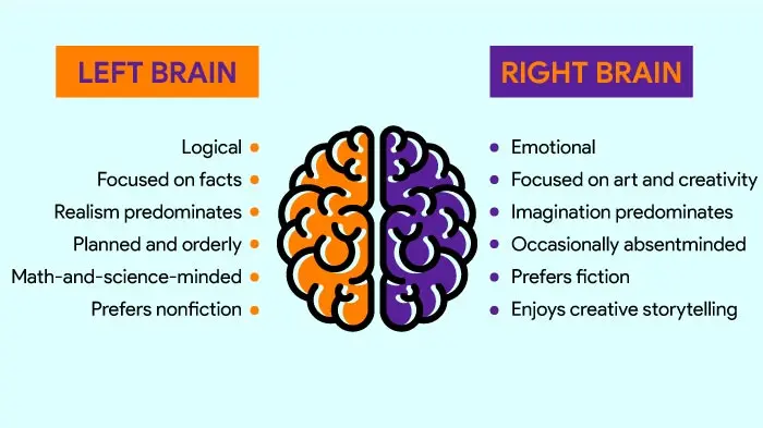 What do you know about your brain? Check and test how efficiently you think [QUIZ]