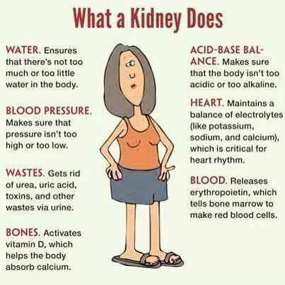 What do you know about your kidneys? Only 1 in 10 people know they are sick