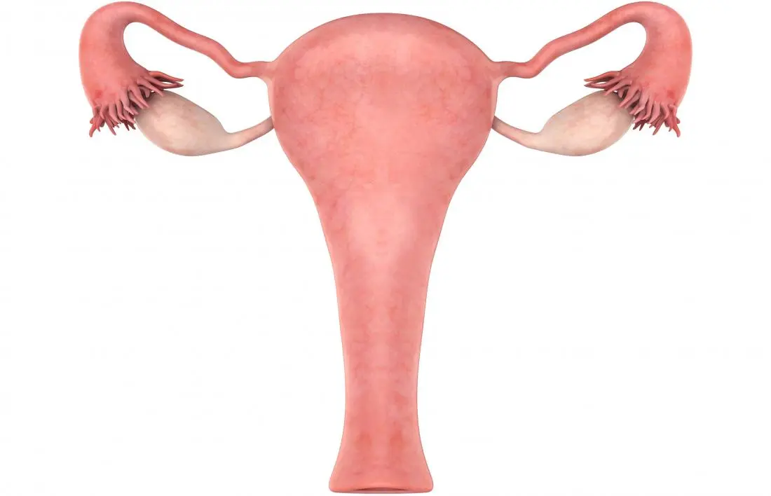 What does an enlarged uterus mean?