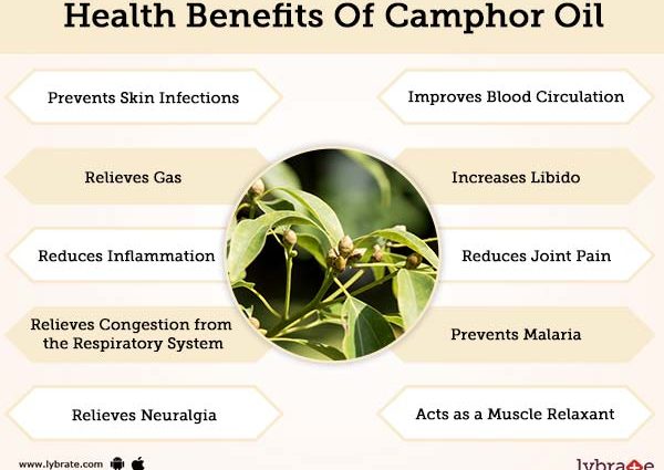 What does camphor oil work for? Properties, application, side effects