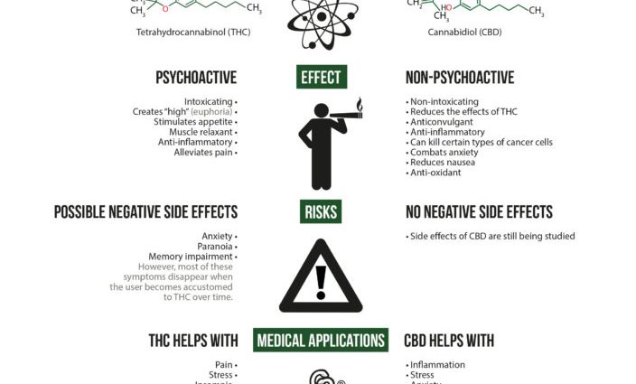 What does CBD treat? Therapeutic properties of natural CBD