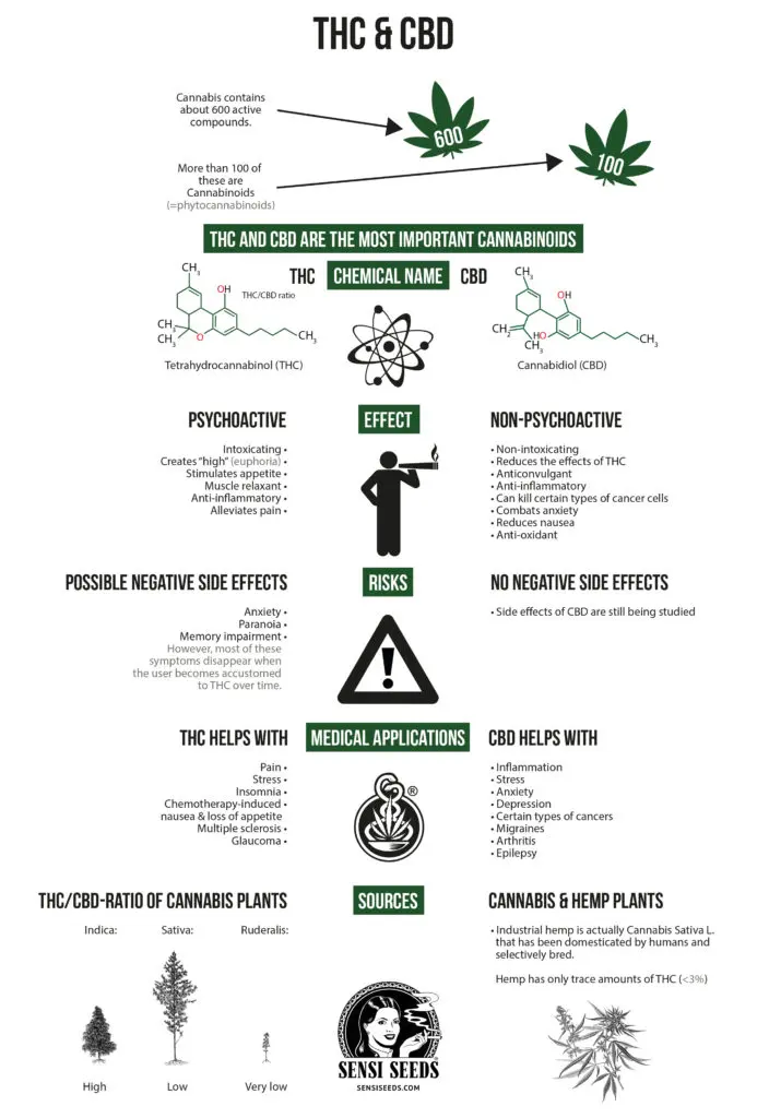 What does CBD treat? Therapeutic properties of natural CBD