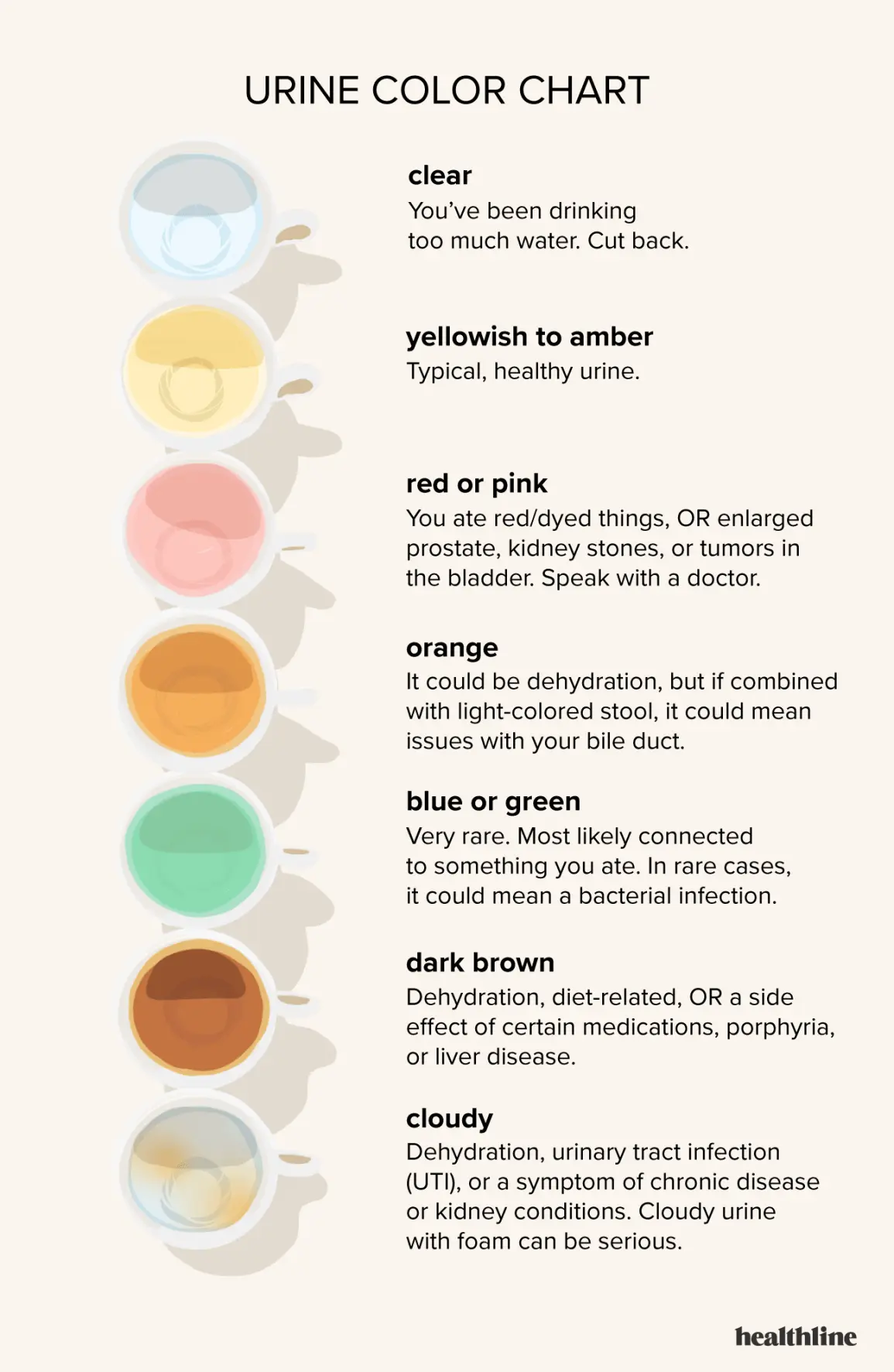 What does dark urine mean? What diseases can it indicate? [WE EXPLAIN]