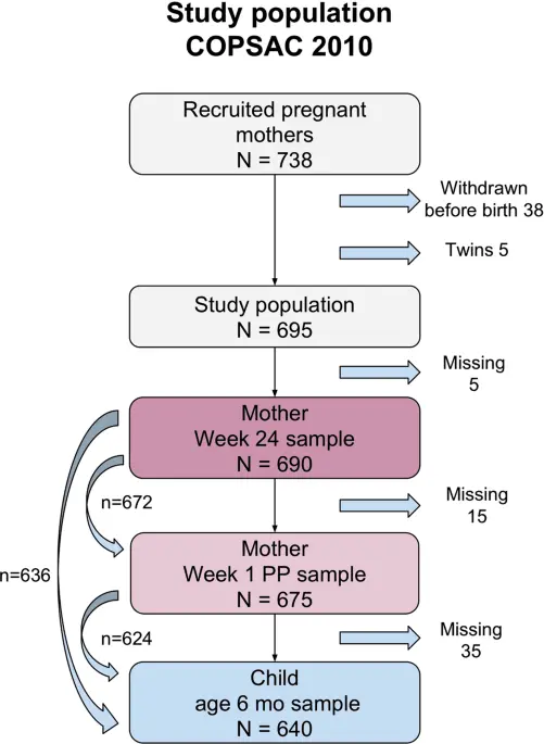 What does elevated CRP in pregnancy mean?