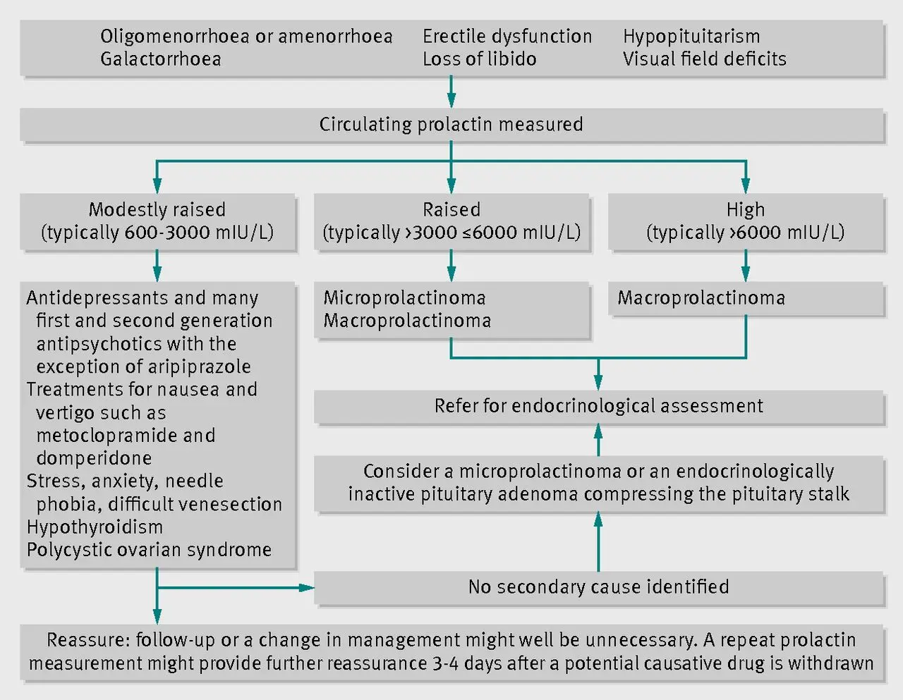 What does elevated prolactin mean? &#8211; norms, testing and interpretation of the result