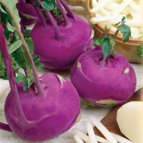 What does kohlrabi cabbage look like: photos and descriptions of the best varieties