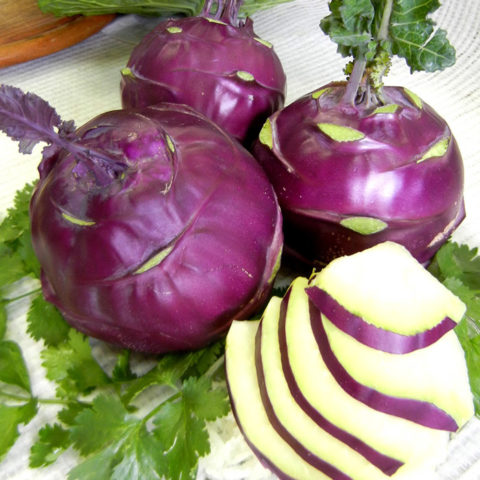 What does kohlrabi cabbage look like: photos and descriptions of the best varieties