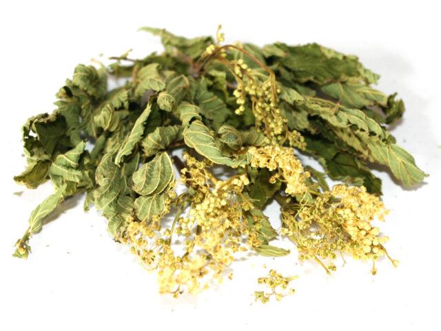 What does meadowsweet (meadowsweet) help from: photo, use in traditional medicine