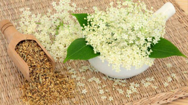 What does meadowsweet (meadowsweet) help from: photo, use in traditional medicine