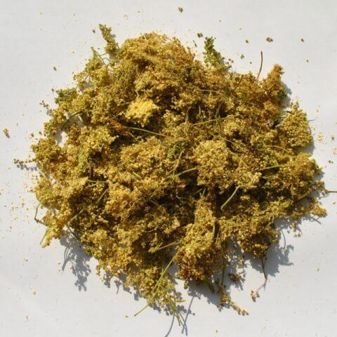 What does meadowsweet (meadowsweet) help from: photo, use in traditional medicine