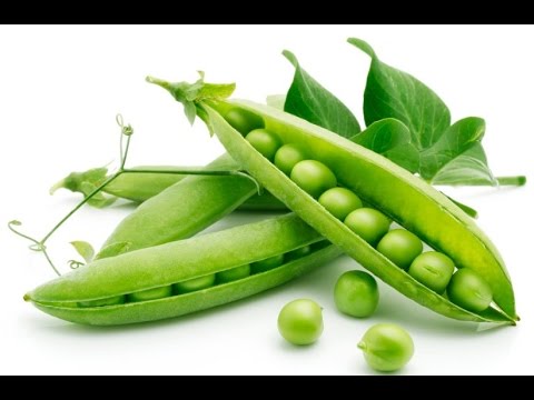 What does pea love and what conditions does it need for fruiting?