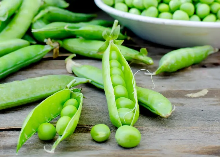 What does pea love and what conditions does it need for fruiting?