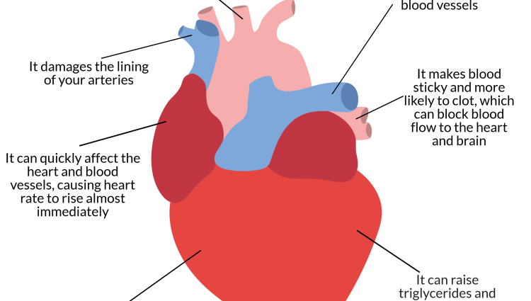 What does smoking do to the heart? The effects can be seen even after many years