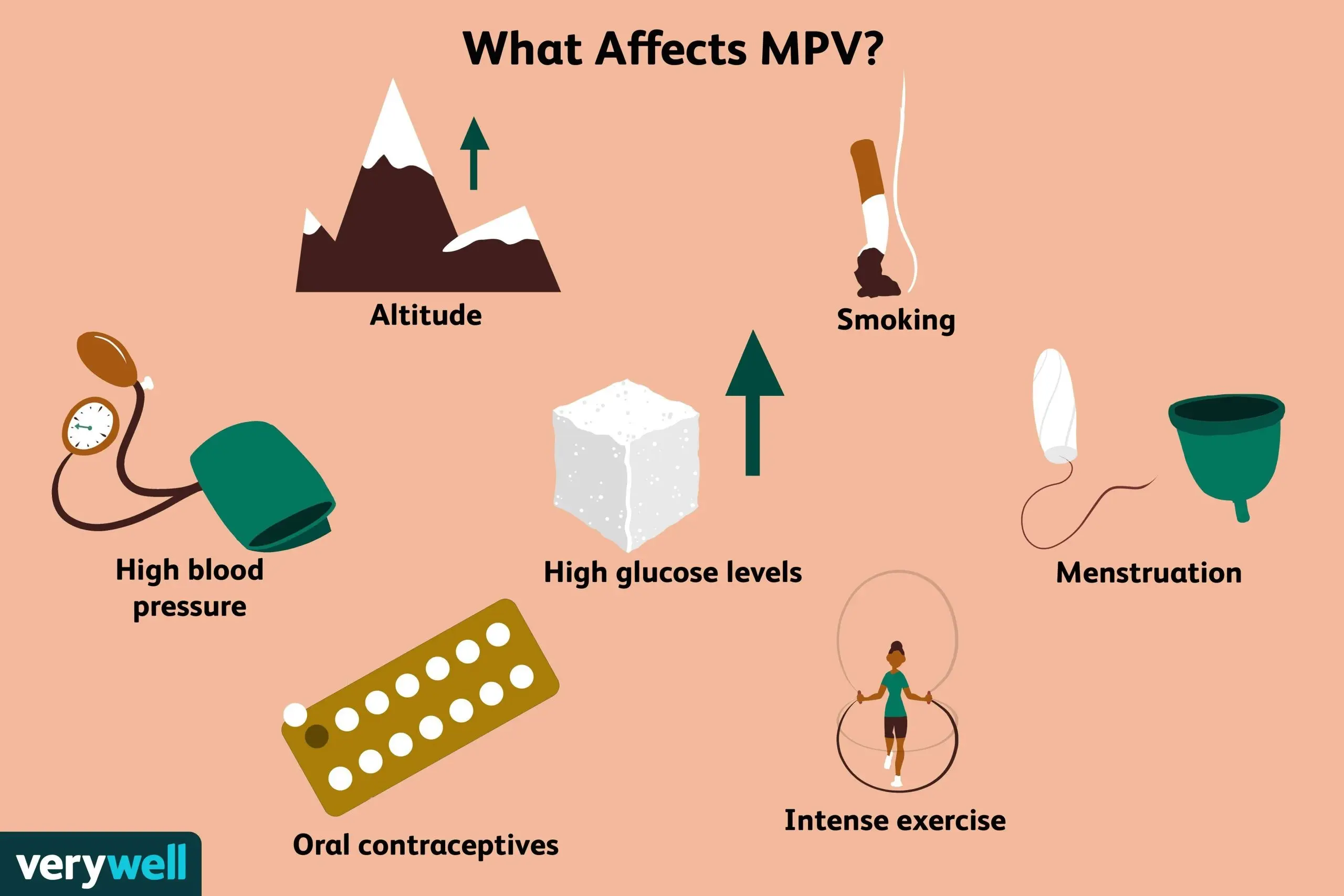 What does the increased PDW blood test mean?