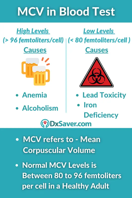 What does the MCV above normal testify to?