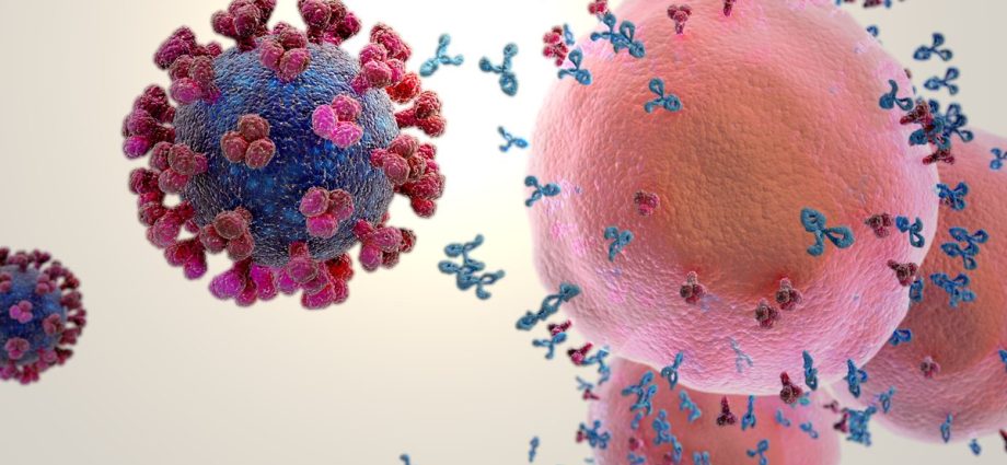 What does the SARS-CoV-2 coronavirus look like? Scientists analyze its structure