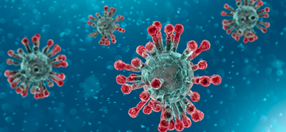 What does WHO say about the coronavirus pandemic? Latest news