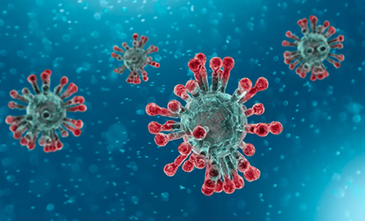What does WHO say about the coronavirus pandemic? Latest news