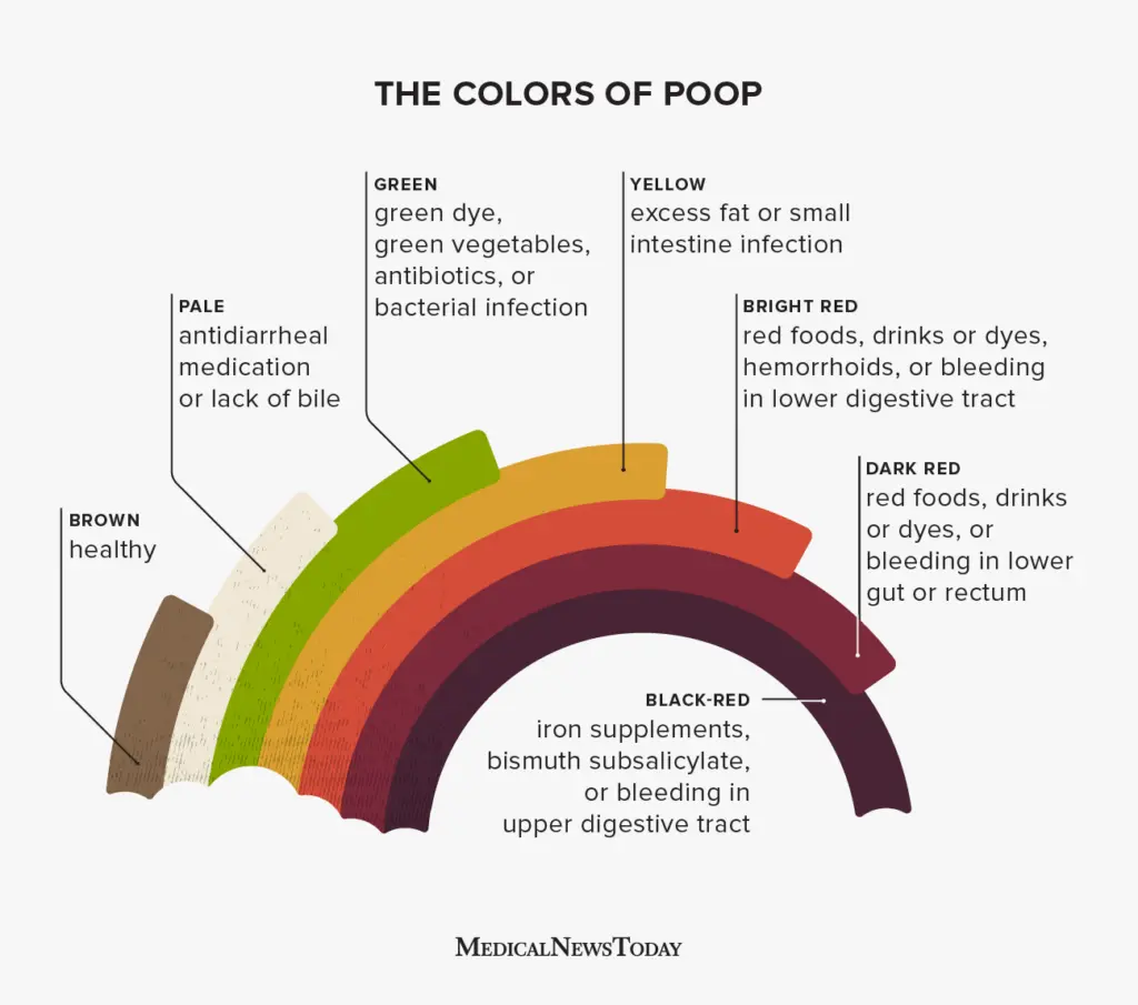 What does yellow stool mean?