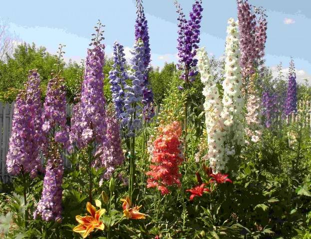 What flowers to plant in the fall in the country 