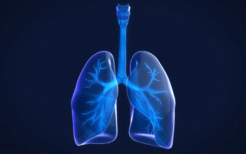 What Happens to the Lungs During COVID-19? Pulmonologist: sick people can become disabled