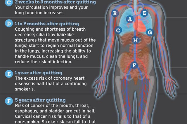 What Happens To Your Body When You Stop Smoking [infographics