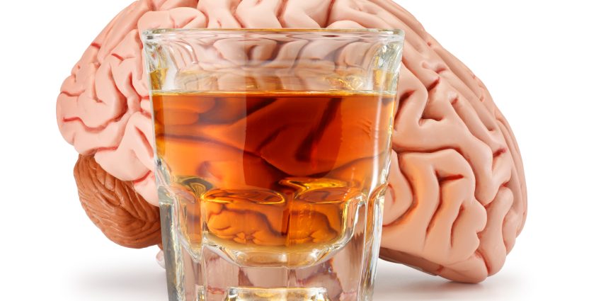 What happens to your brain when you drink? You will definitely limit your alcohol