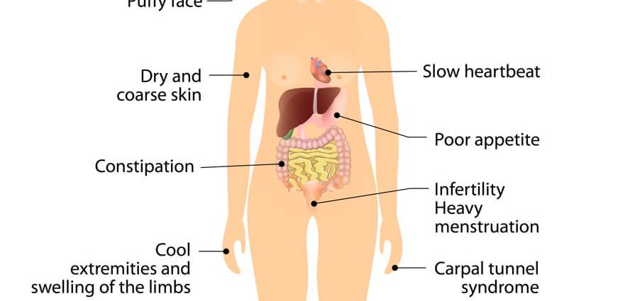 What happens when the thyroid gland is sick? Hashimoto &#8211; piece of a larger puzzle